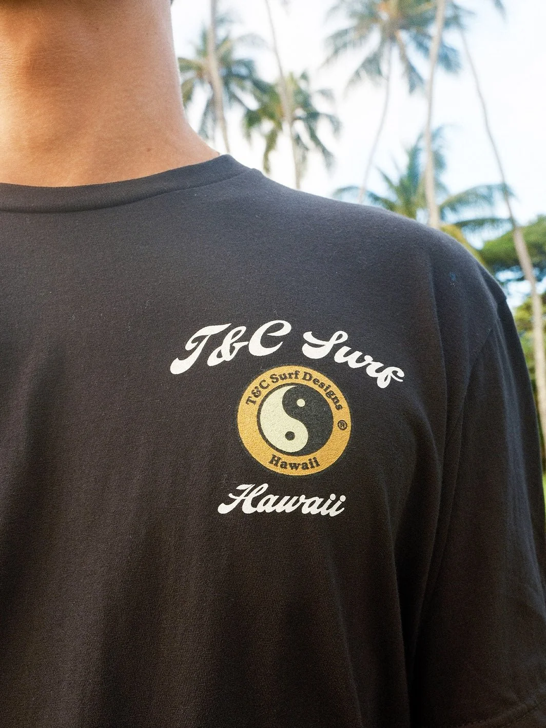 Adobo and Rice Jersey Tee - Image 14